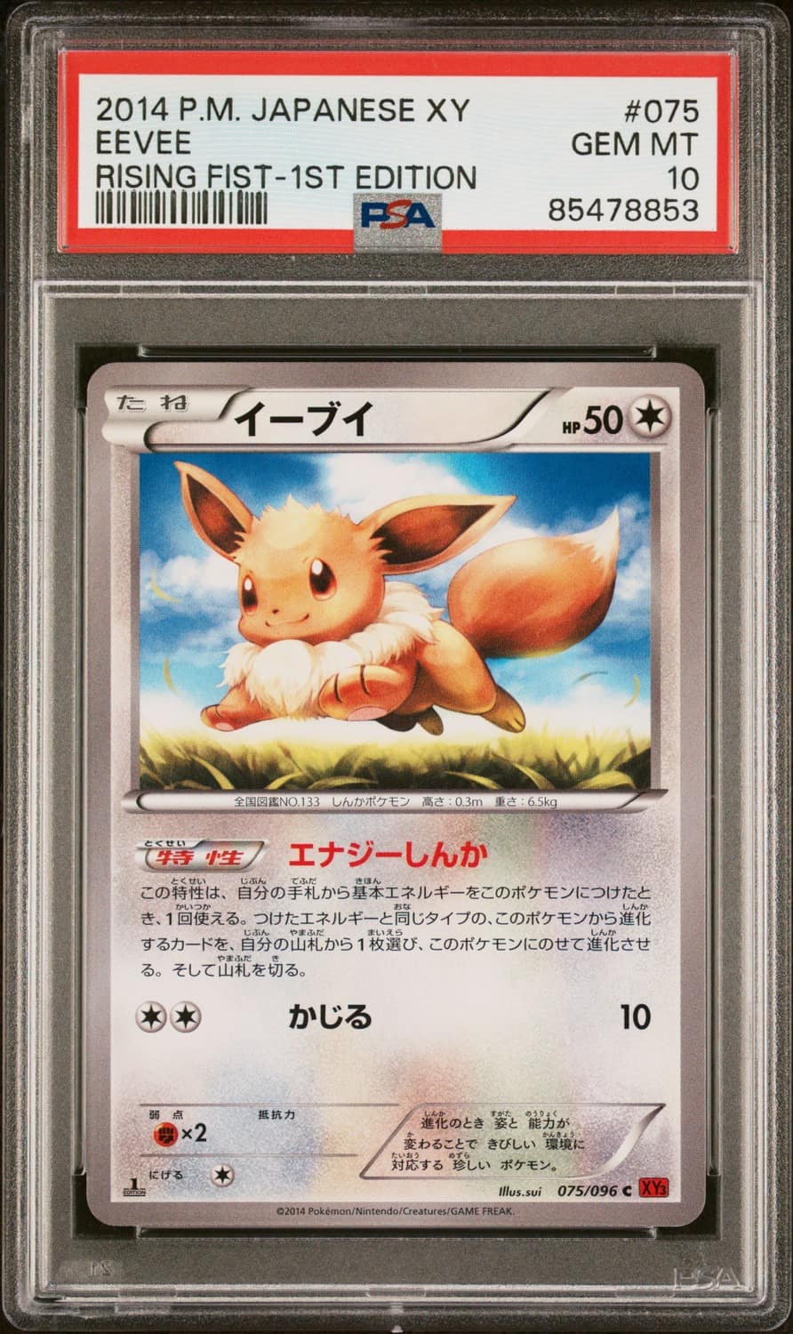 Eevee