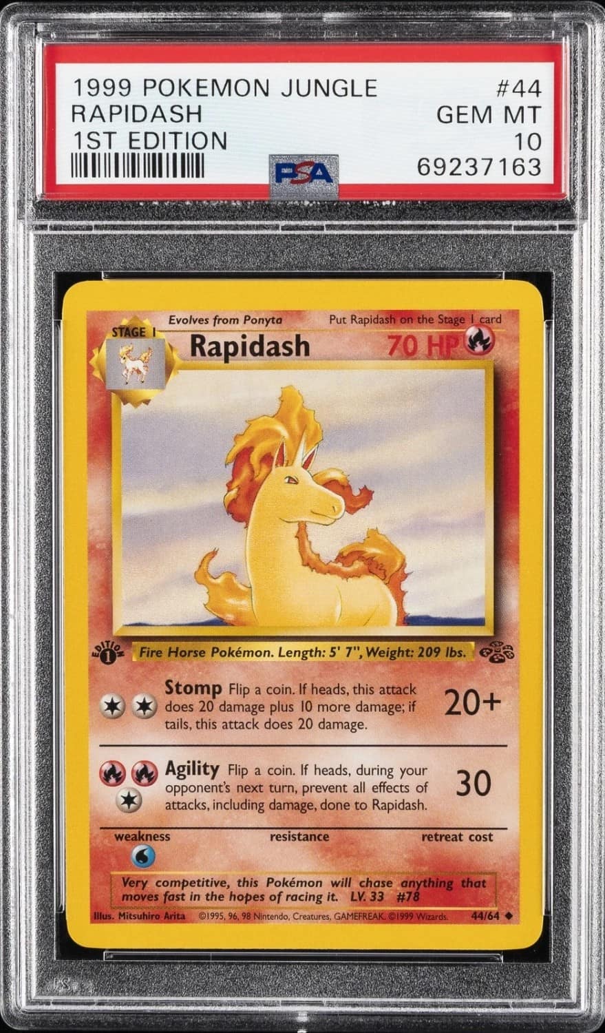 Rapidash
