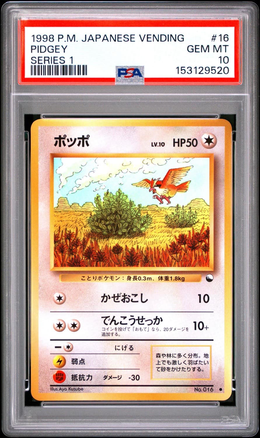 Pidgey