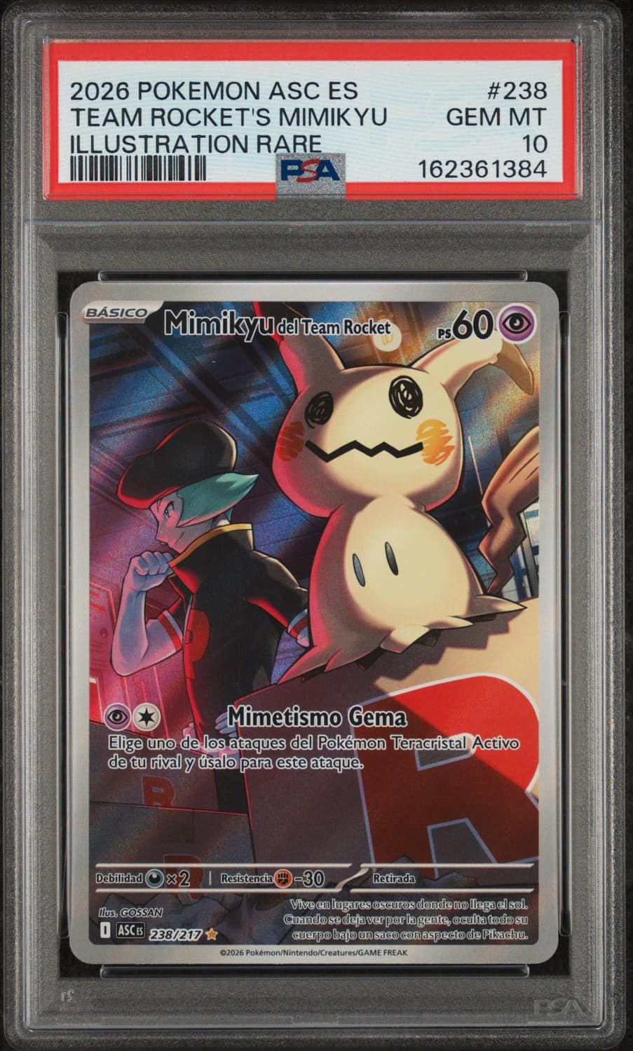 Team Rocket'S Mimikyu