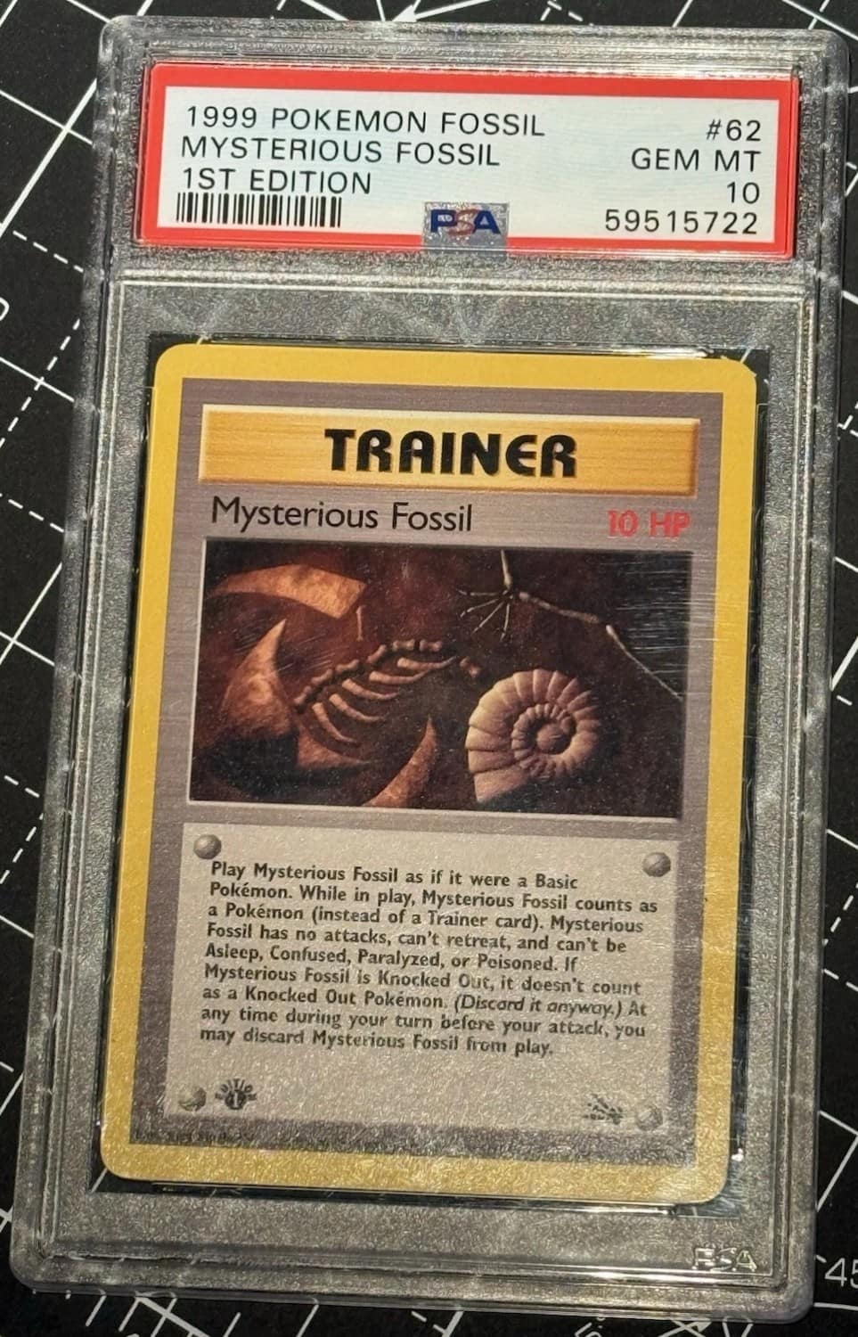 Mysterious Fossil