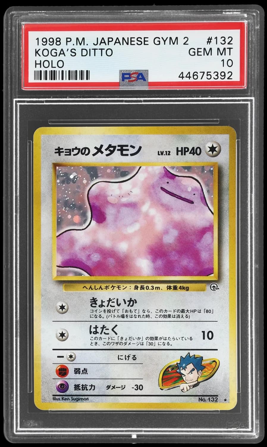 Koga'S Ditto