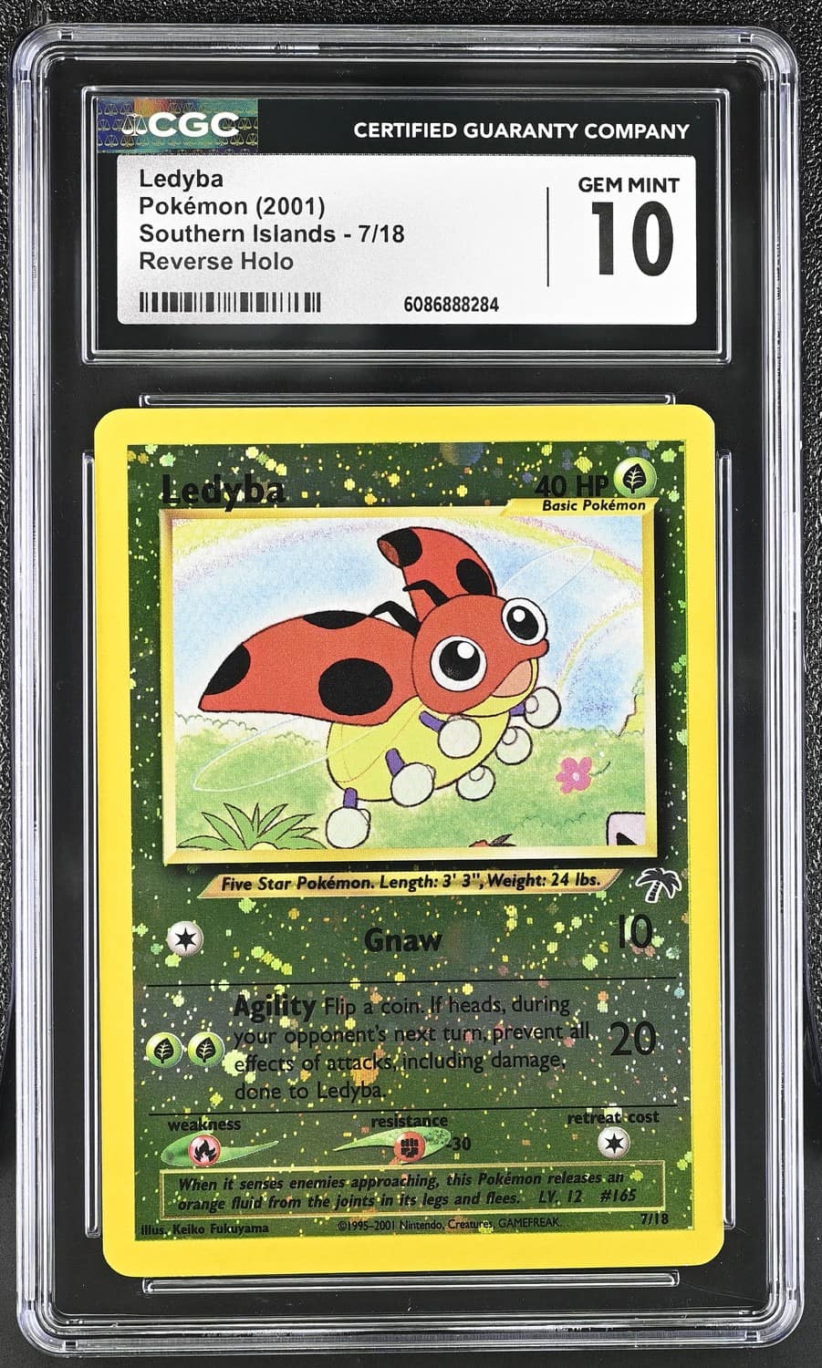 Ledyba