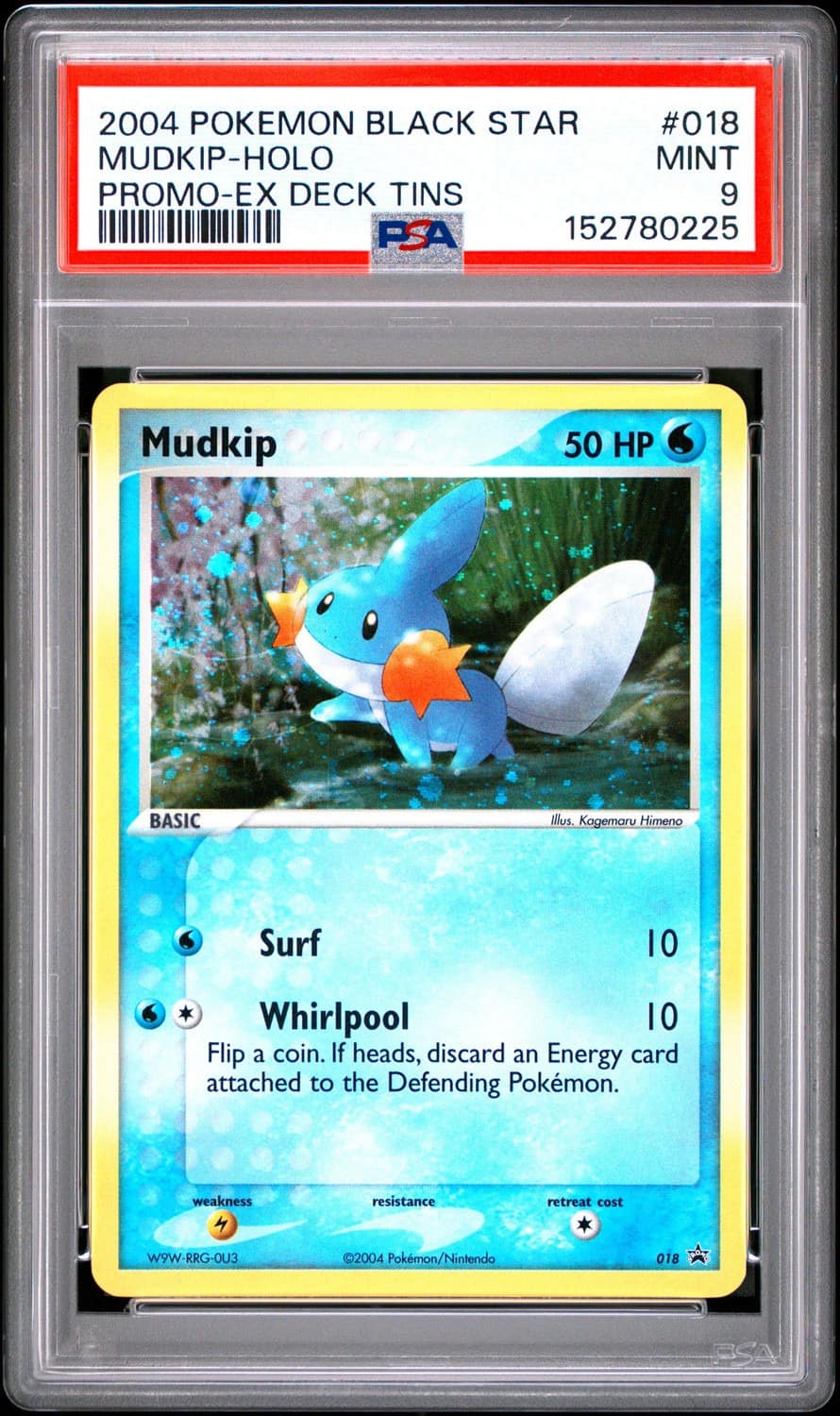 Mudkip