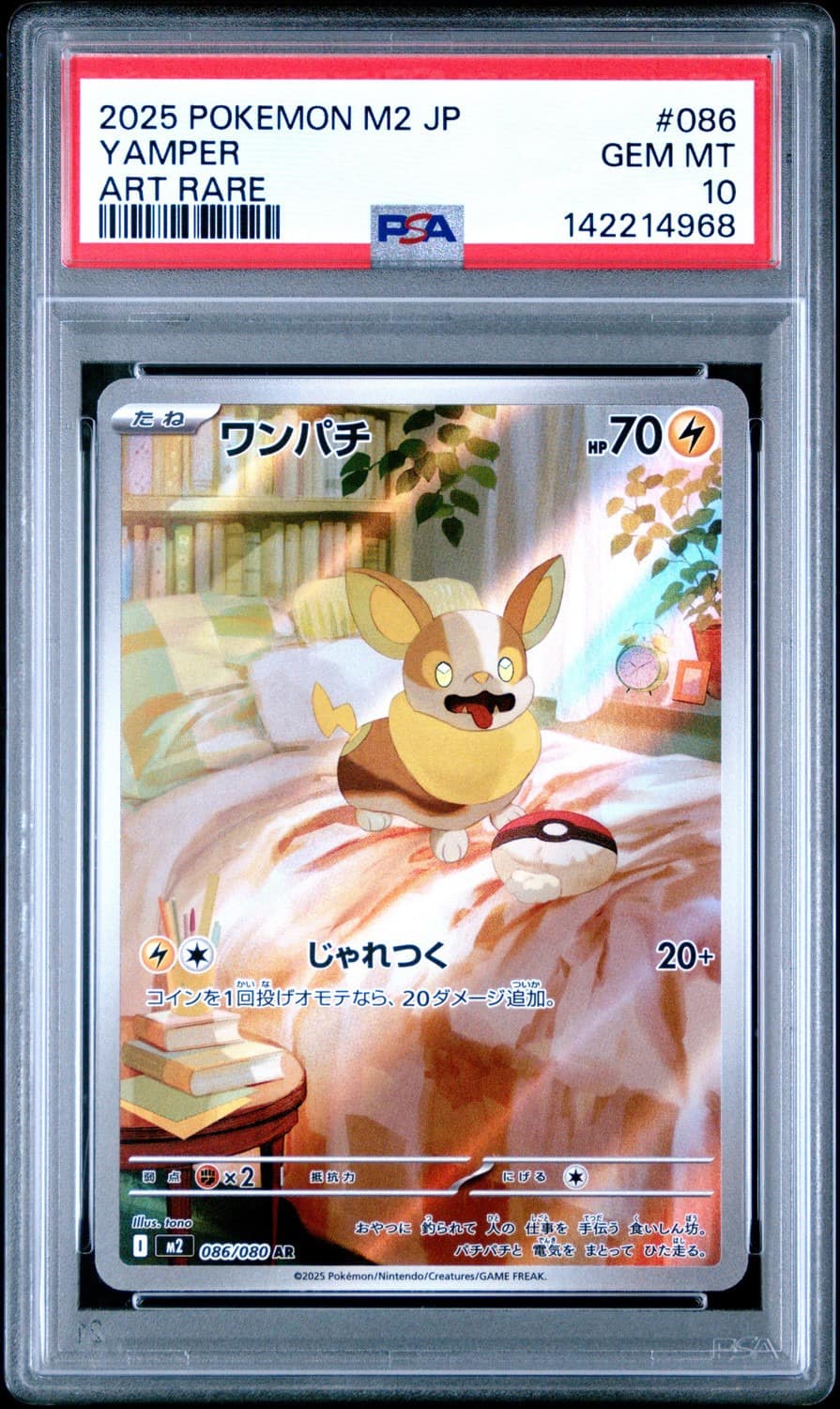 Yamper