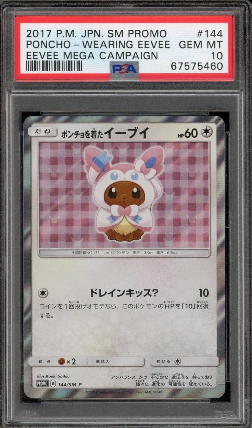 Poncho-Wearing Eevee