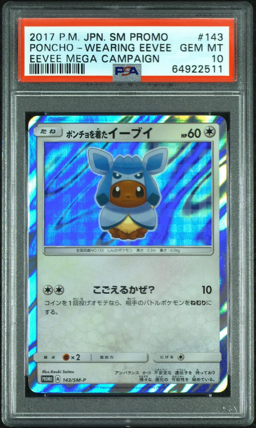 Poncho-Wearing Eevee