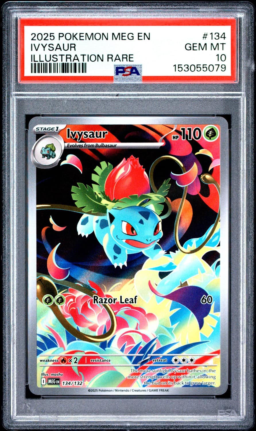 Ivysaur
