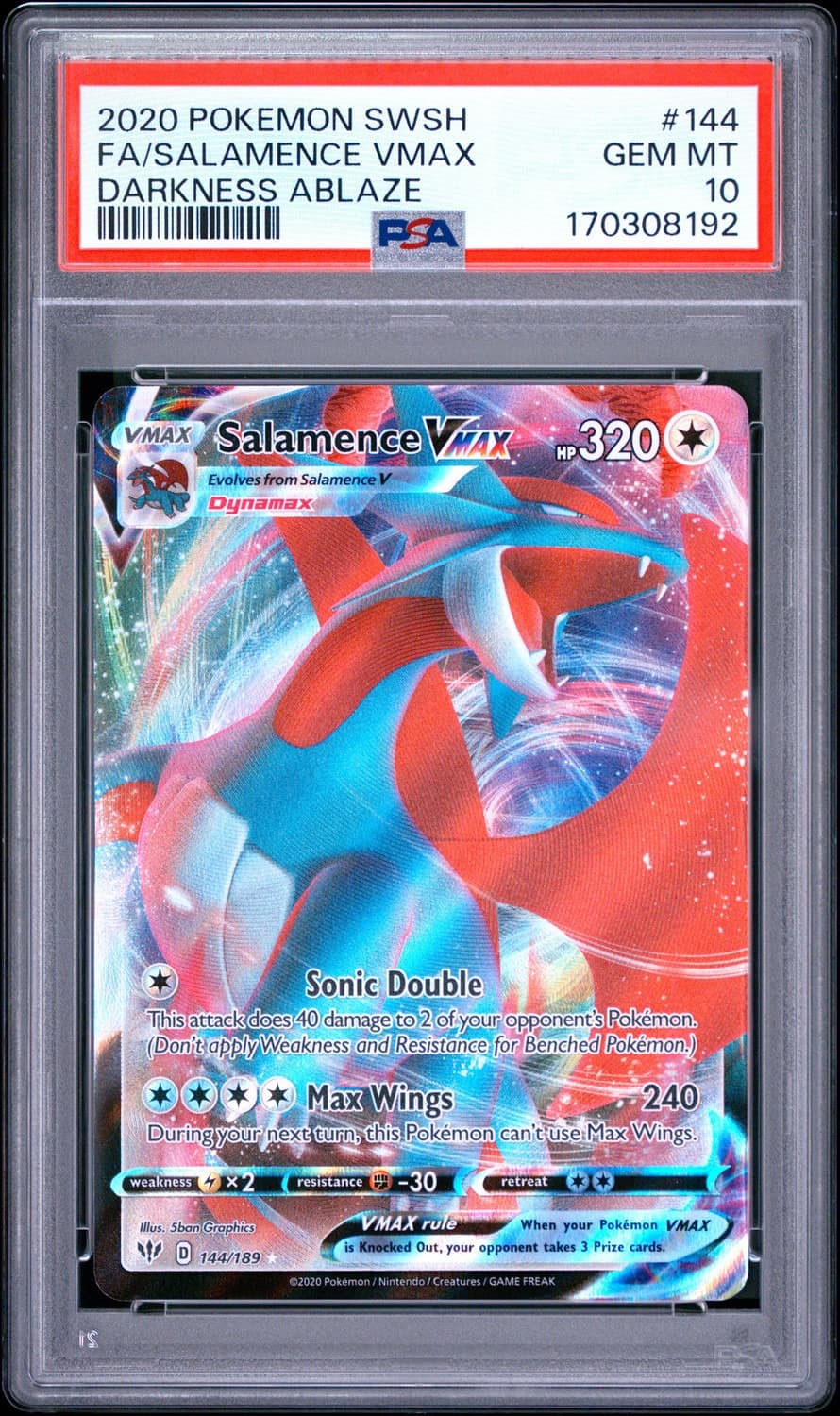 Salamence Vmax