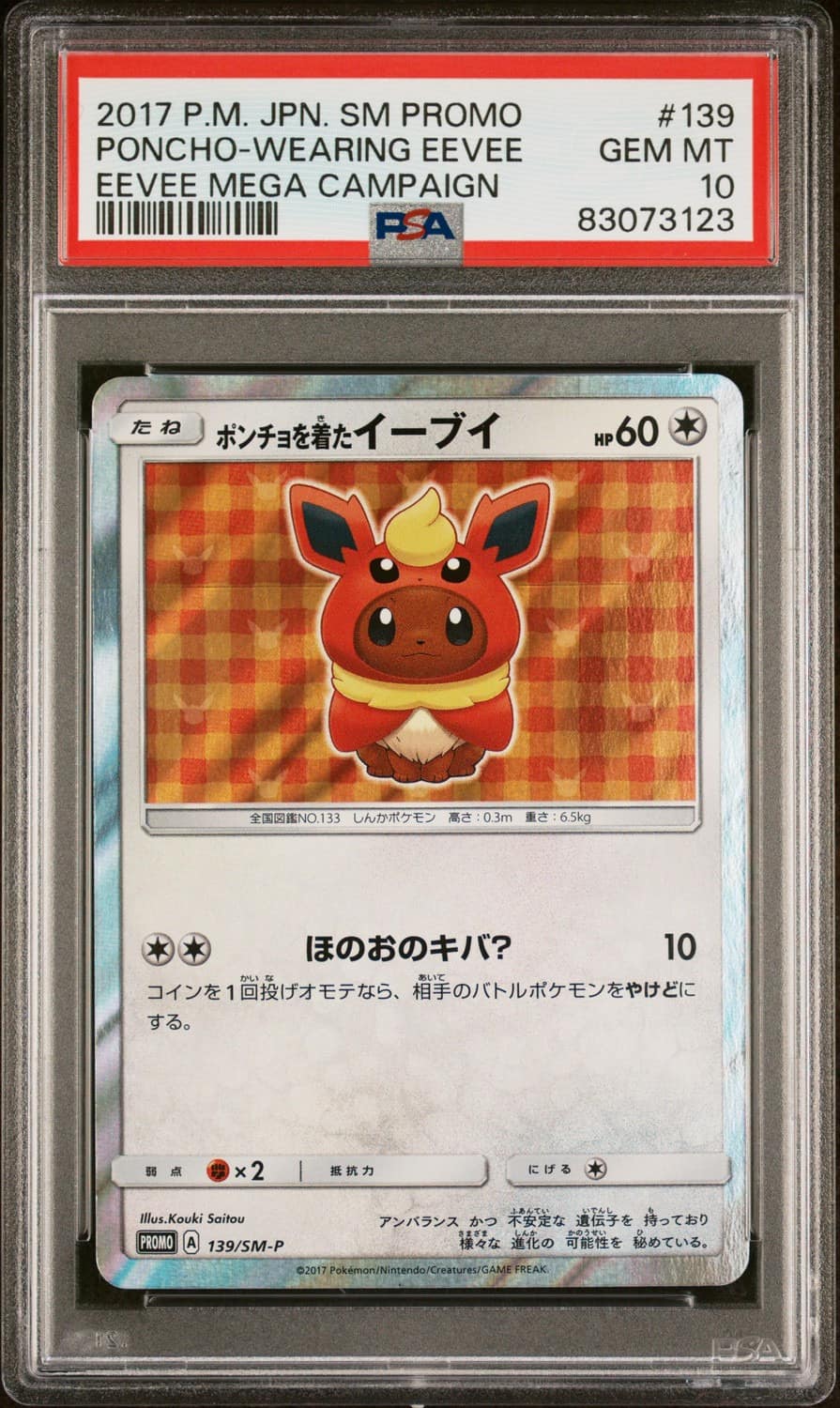 Poncho-Wearing Eevee