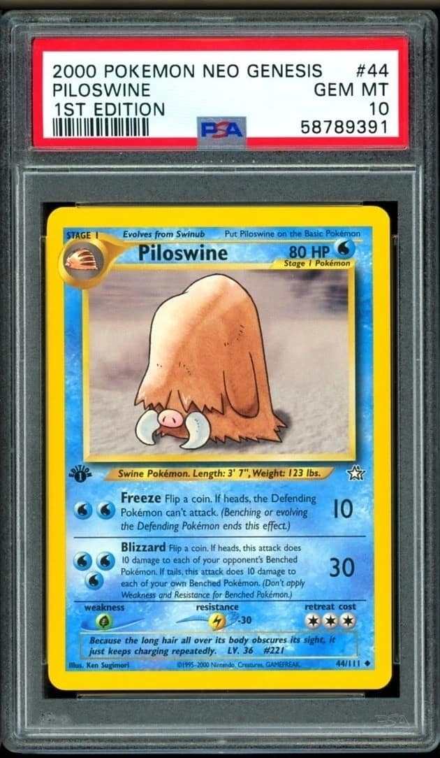 Piloswine