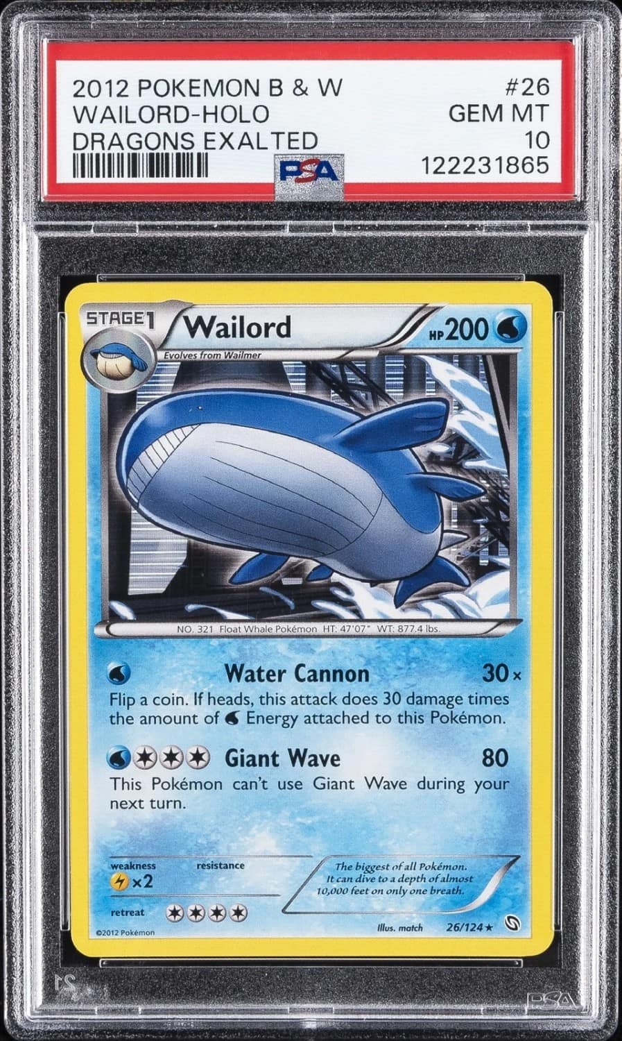 Wailord