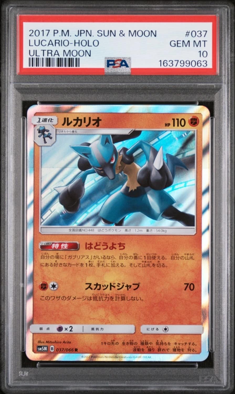 Lucario