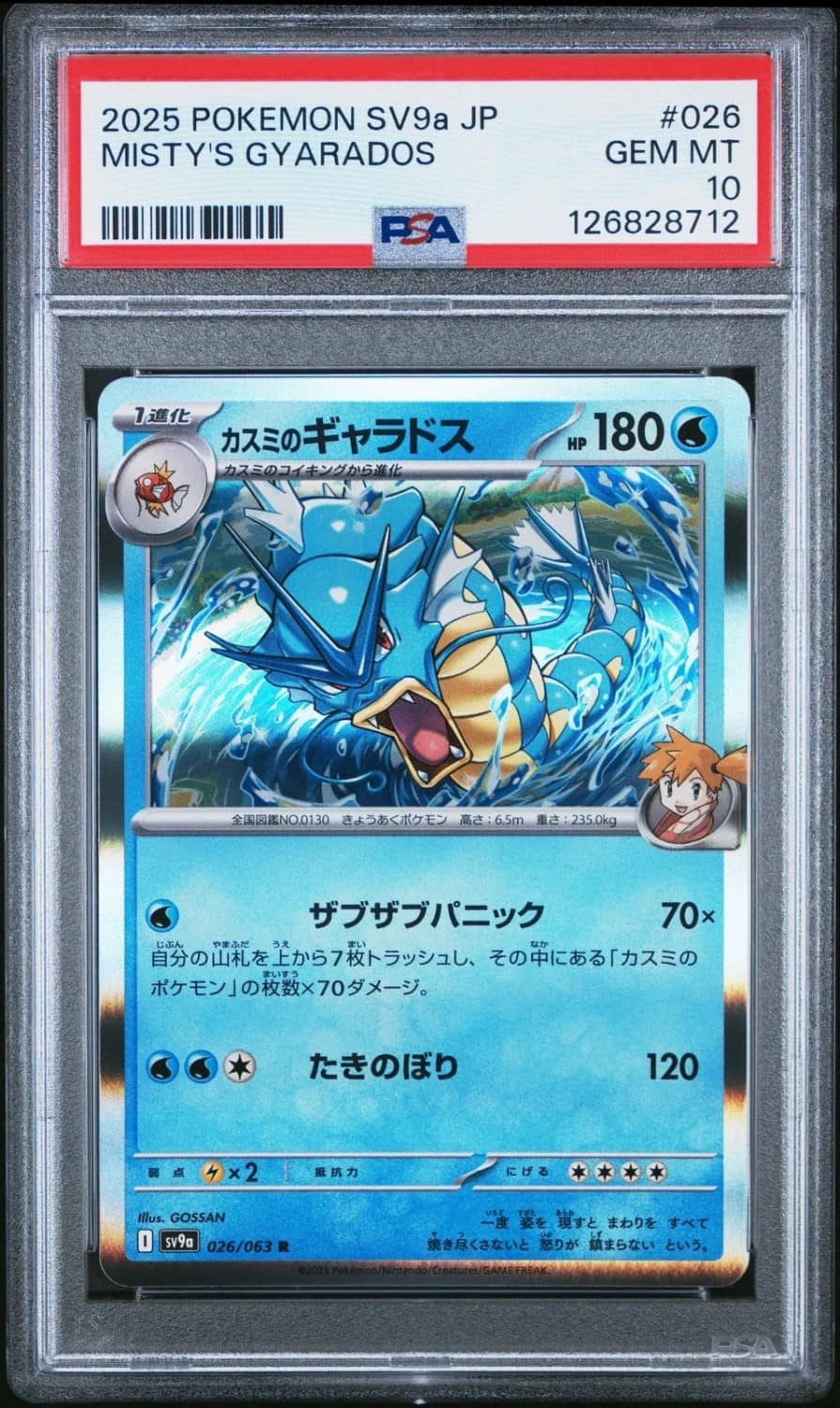 Misty'S Gyarados