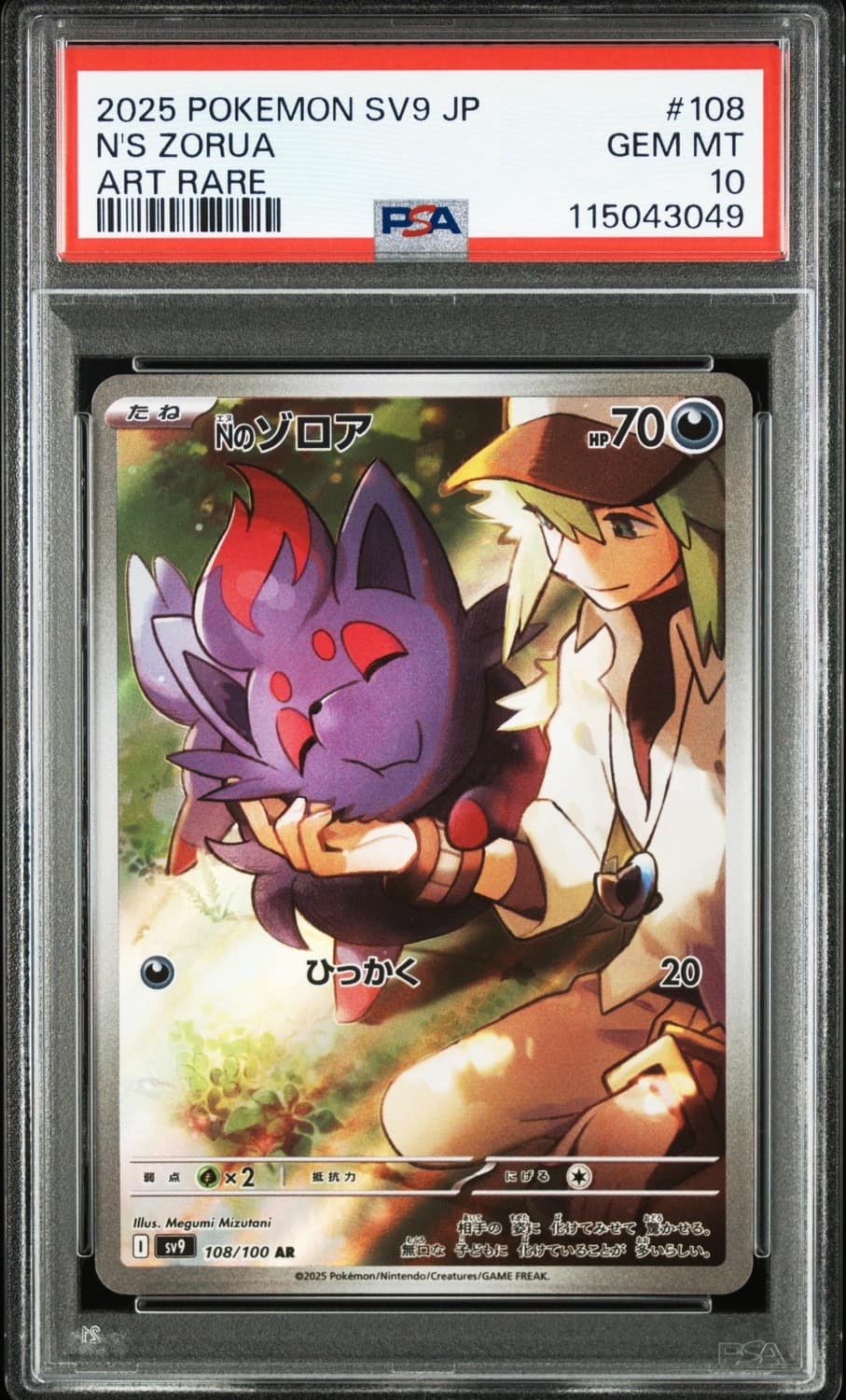 N'S Zorua