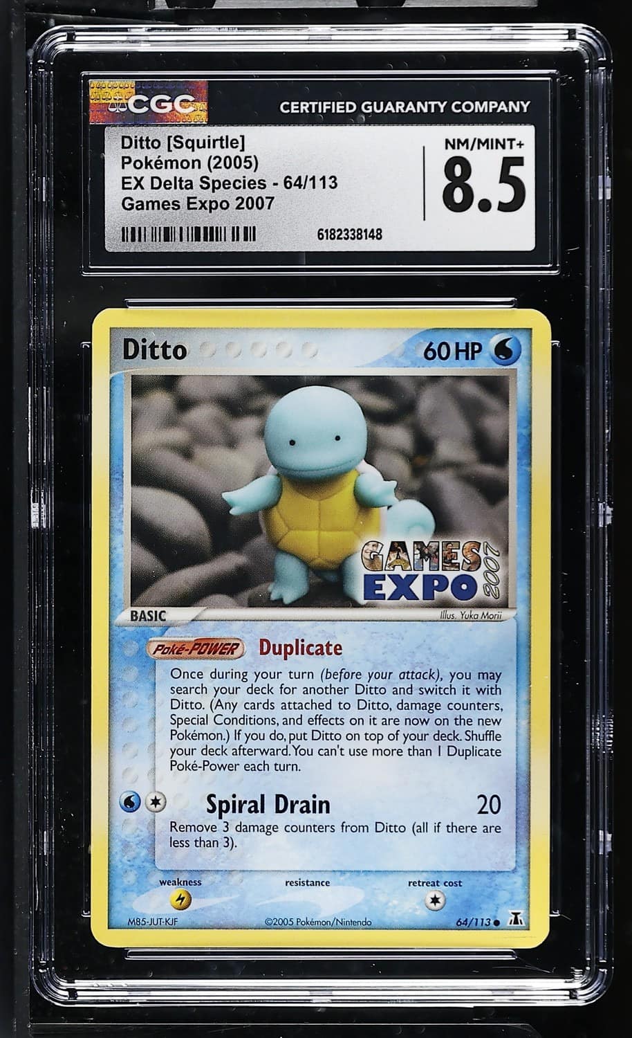 Ditto [squirtle]