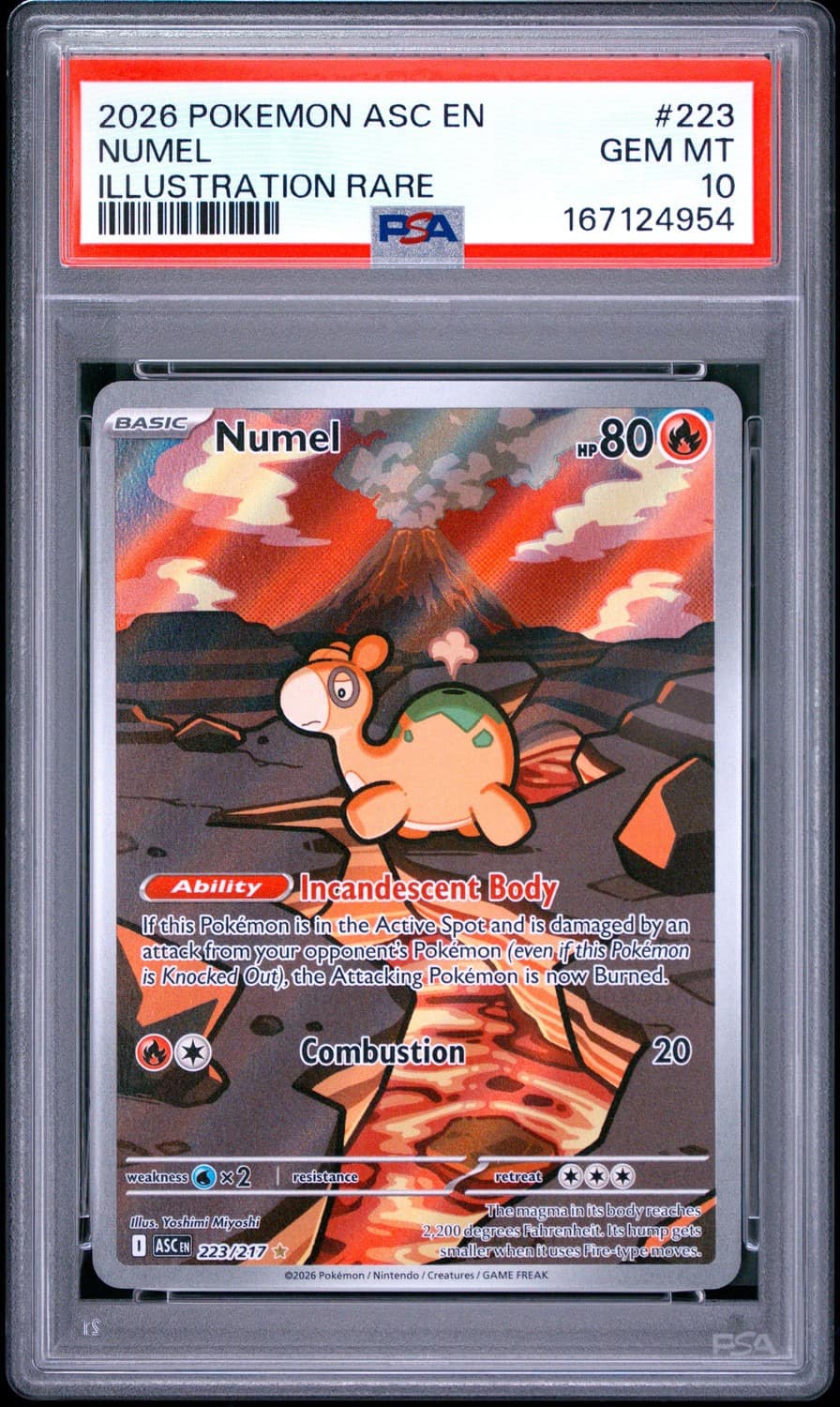 Numel