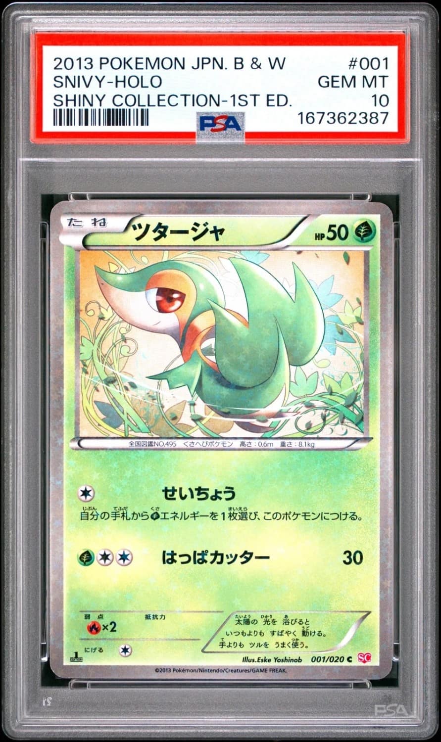 Snivy