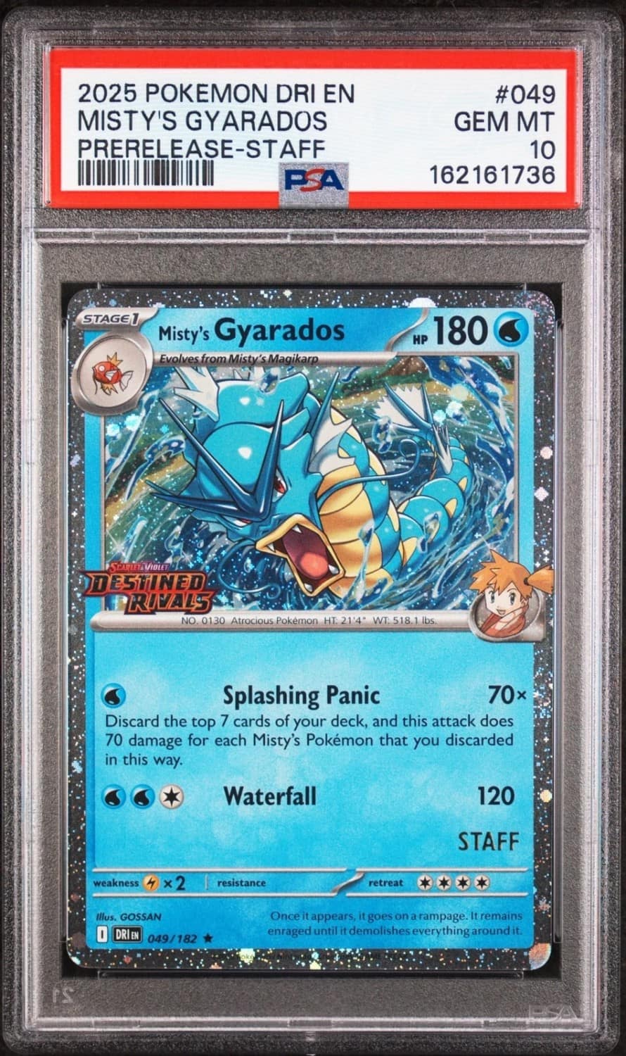 Misty'S Gyarados