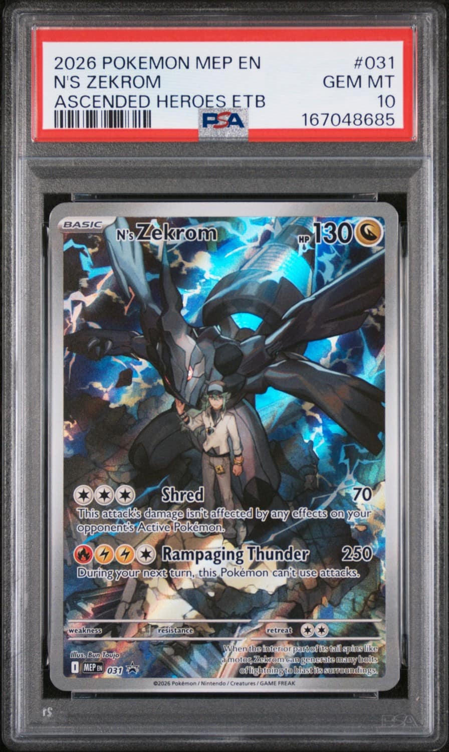 N'S Zekrom