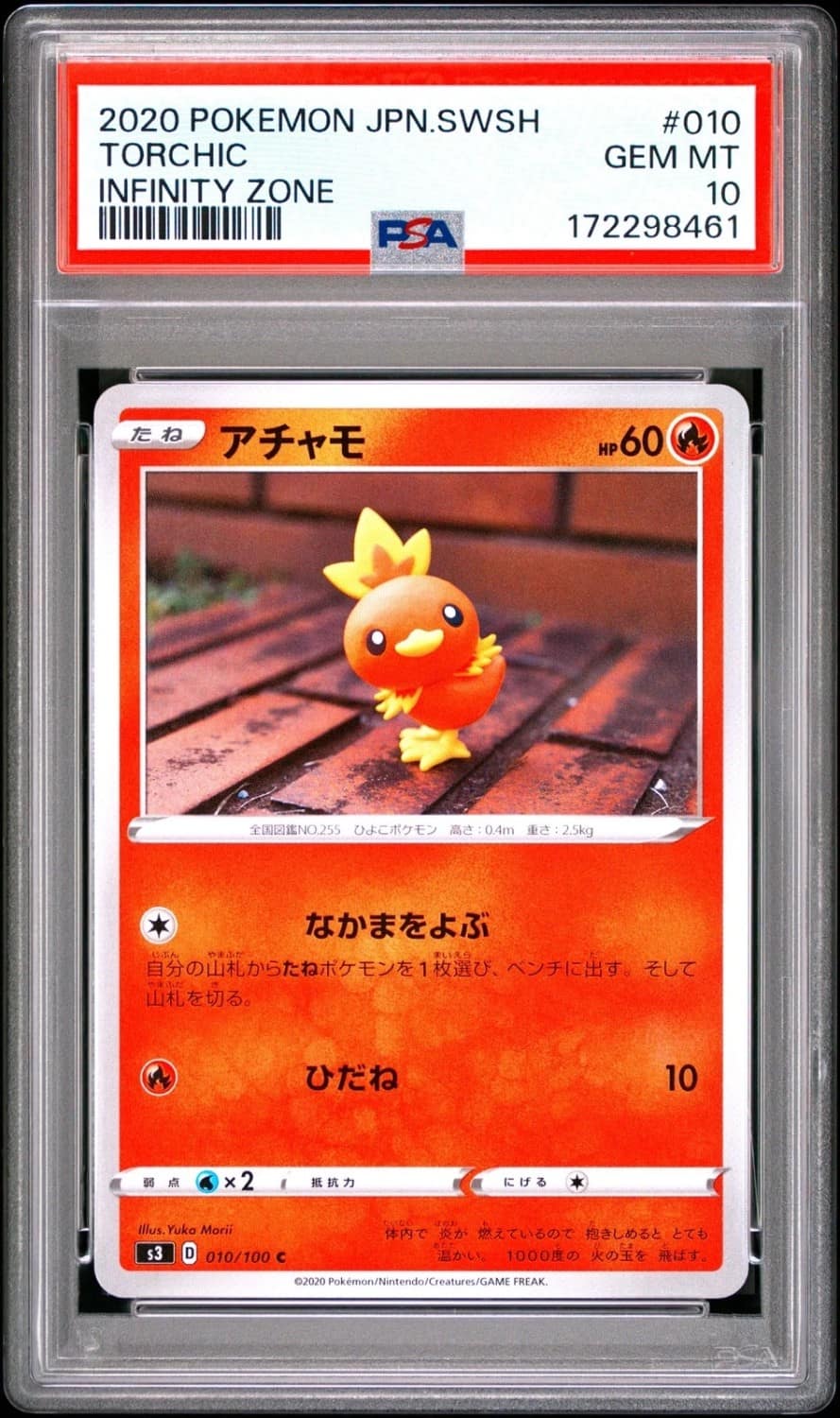 Torchic
