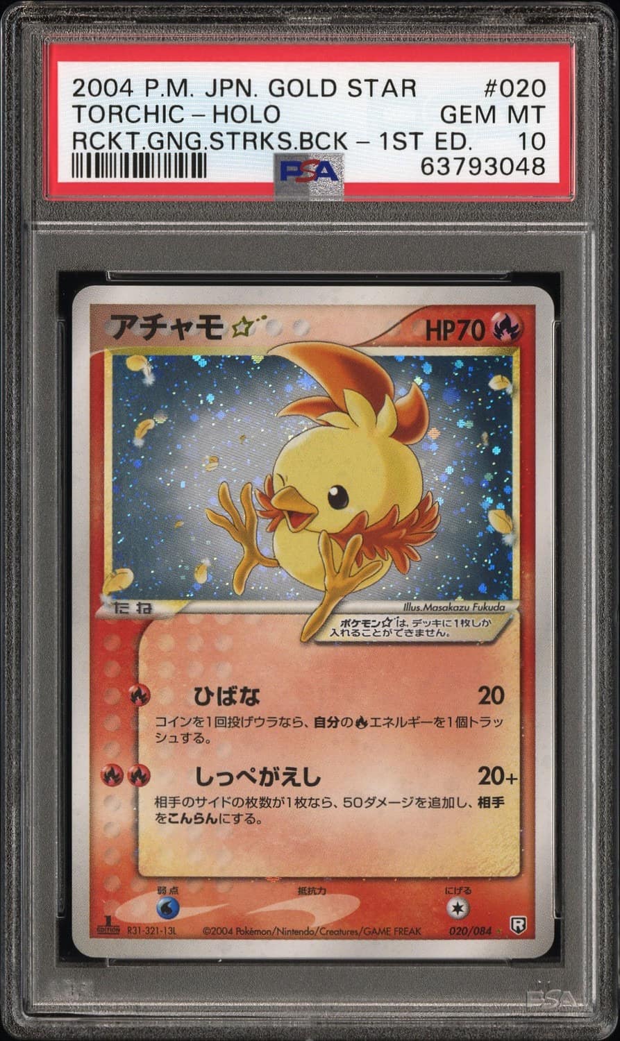 Torchic