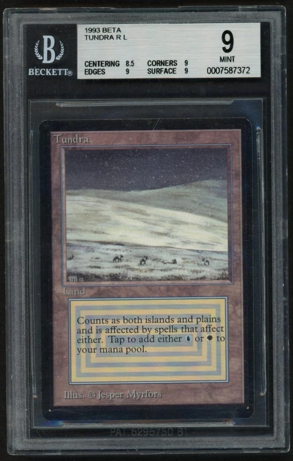 Tundra R :l: