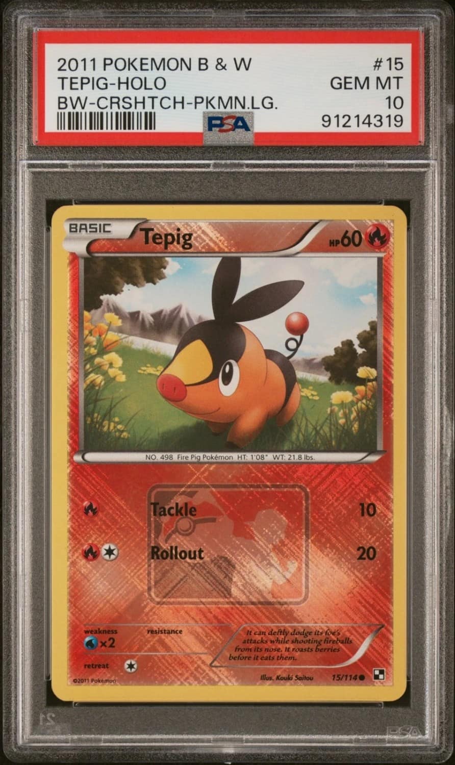 Tepig
