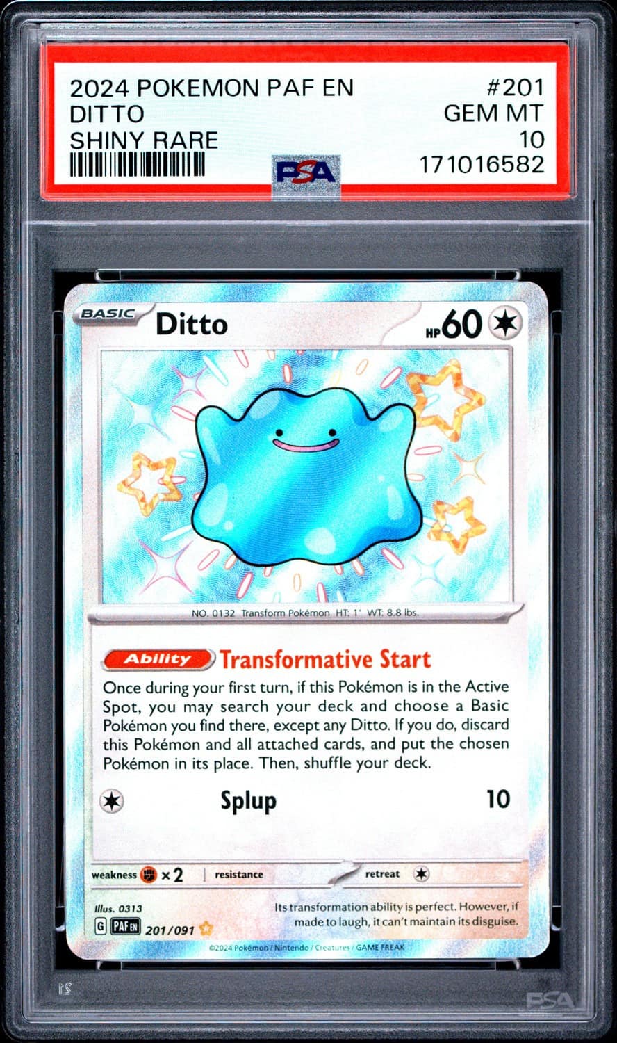 Ditto