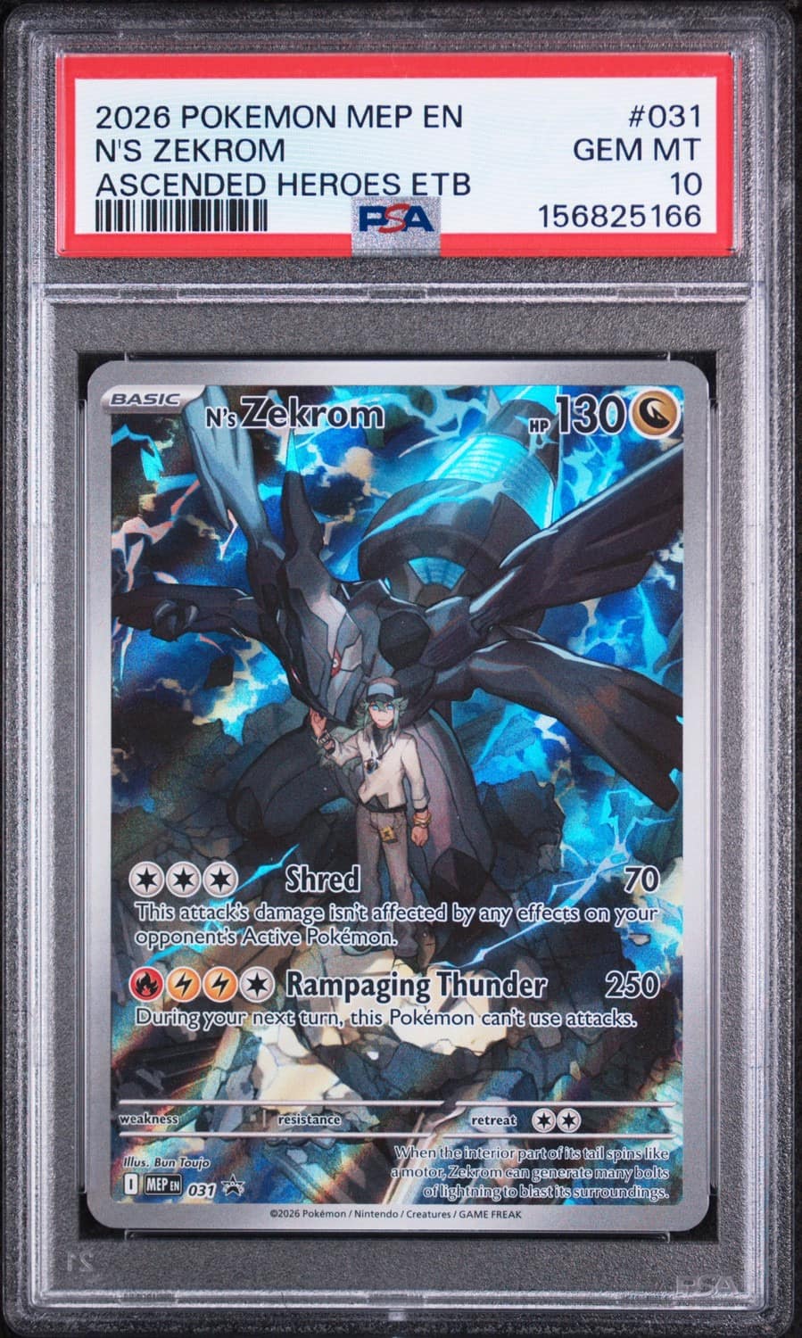 N'S Zekrom