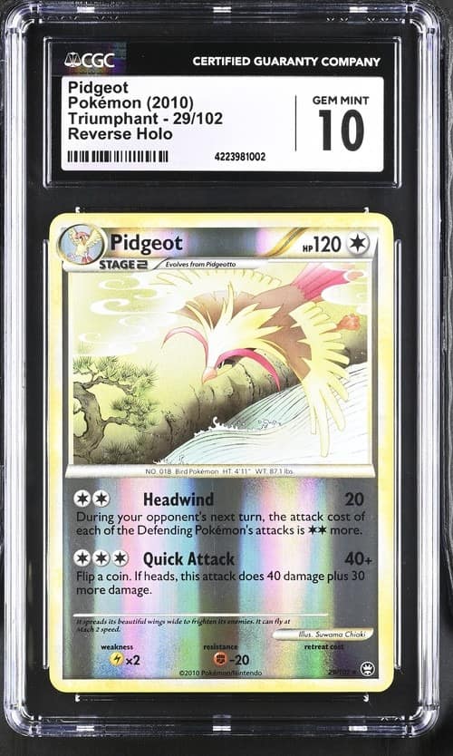 Pidgeot