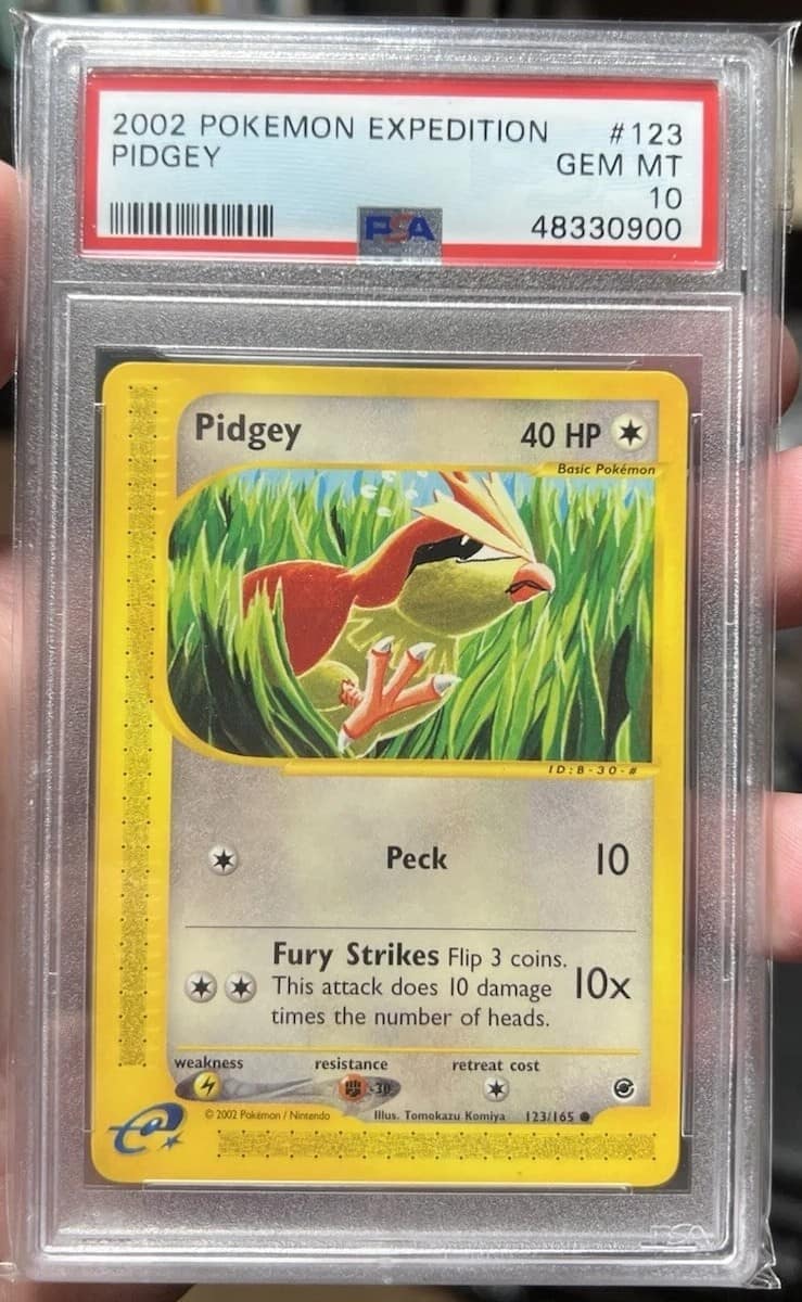 Pidgey
