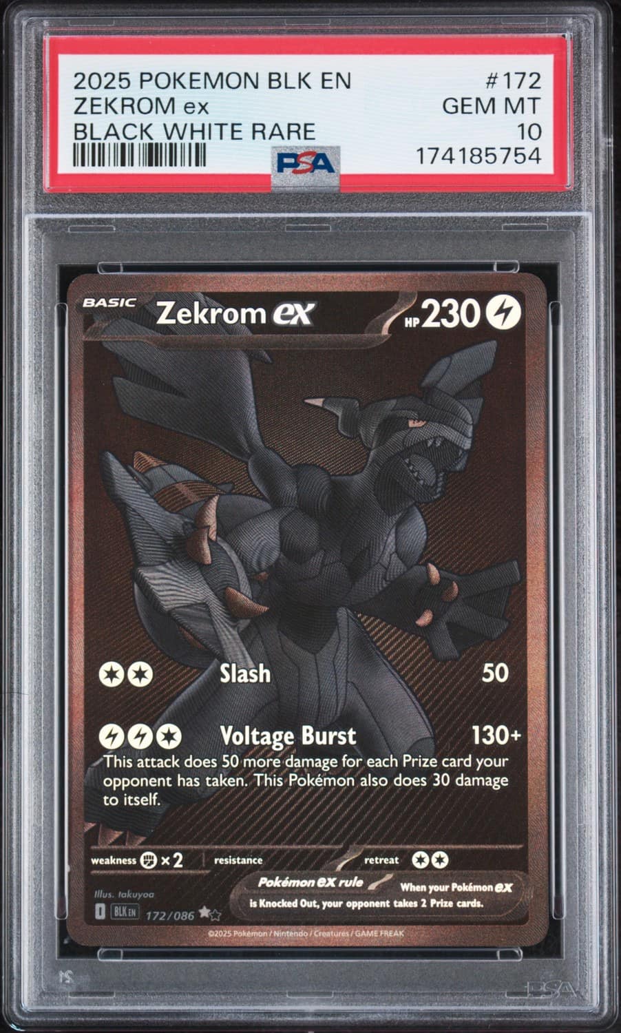 Zekrom Ex
