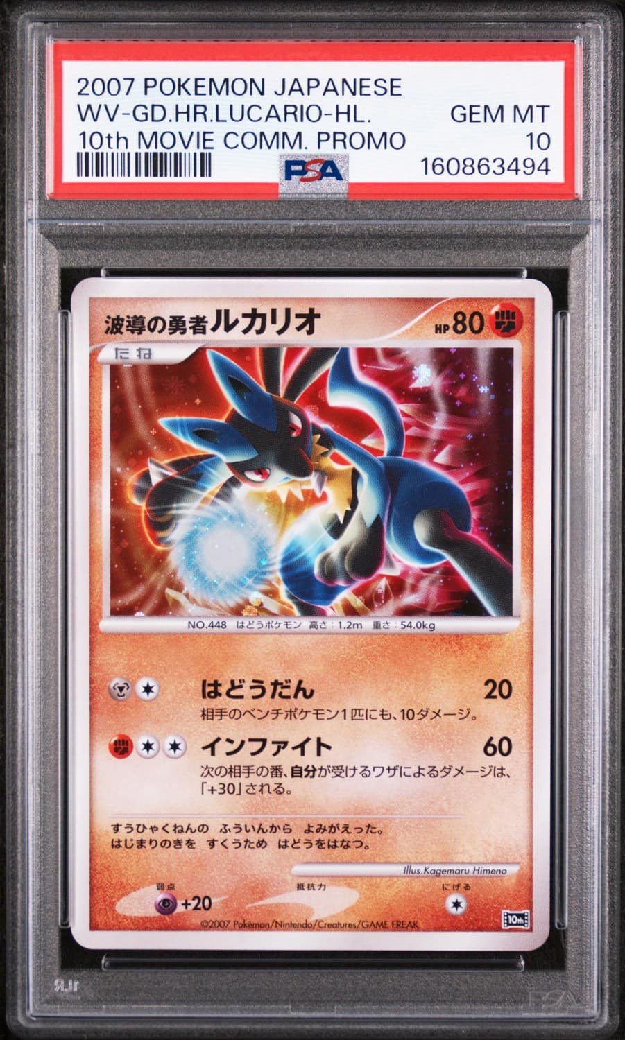 Wave-Guiding Hero Lucario