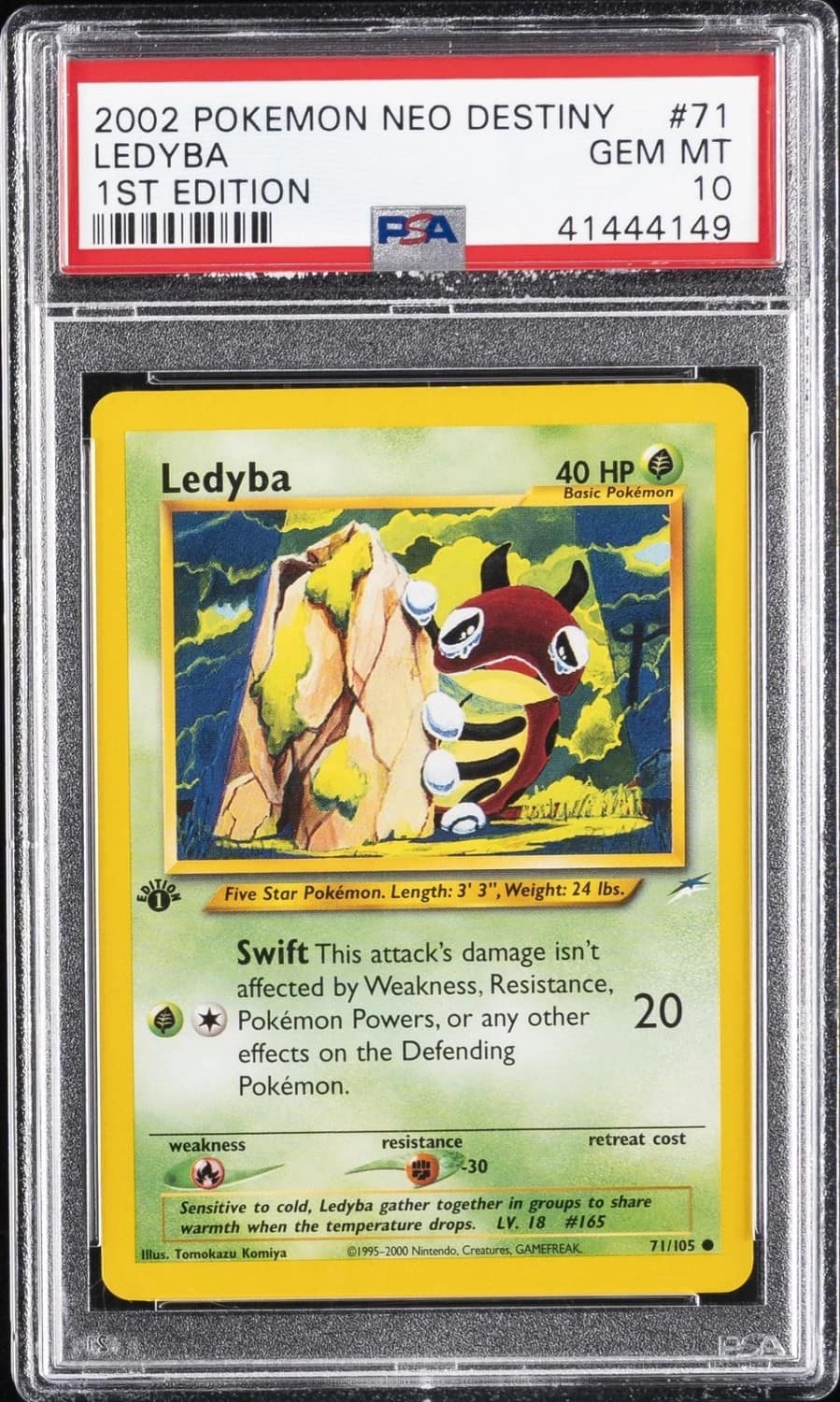 Ledyba