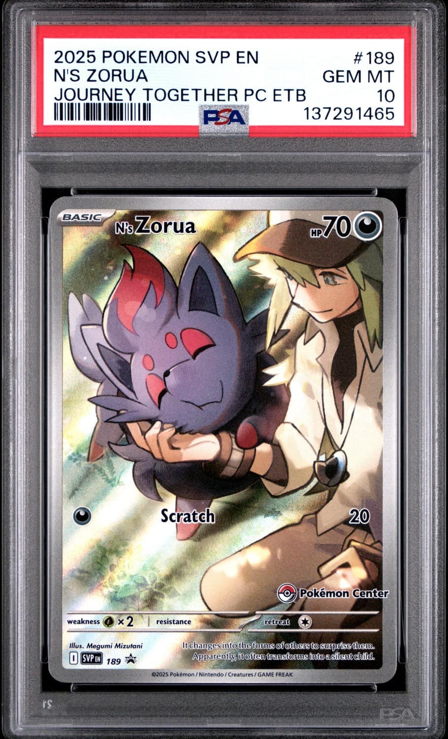 N'S Zorua