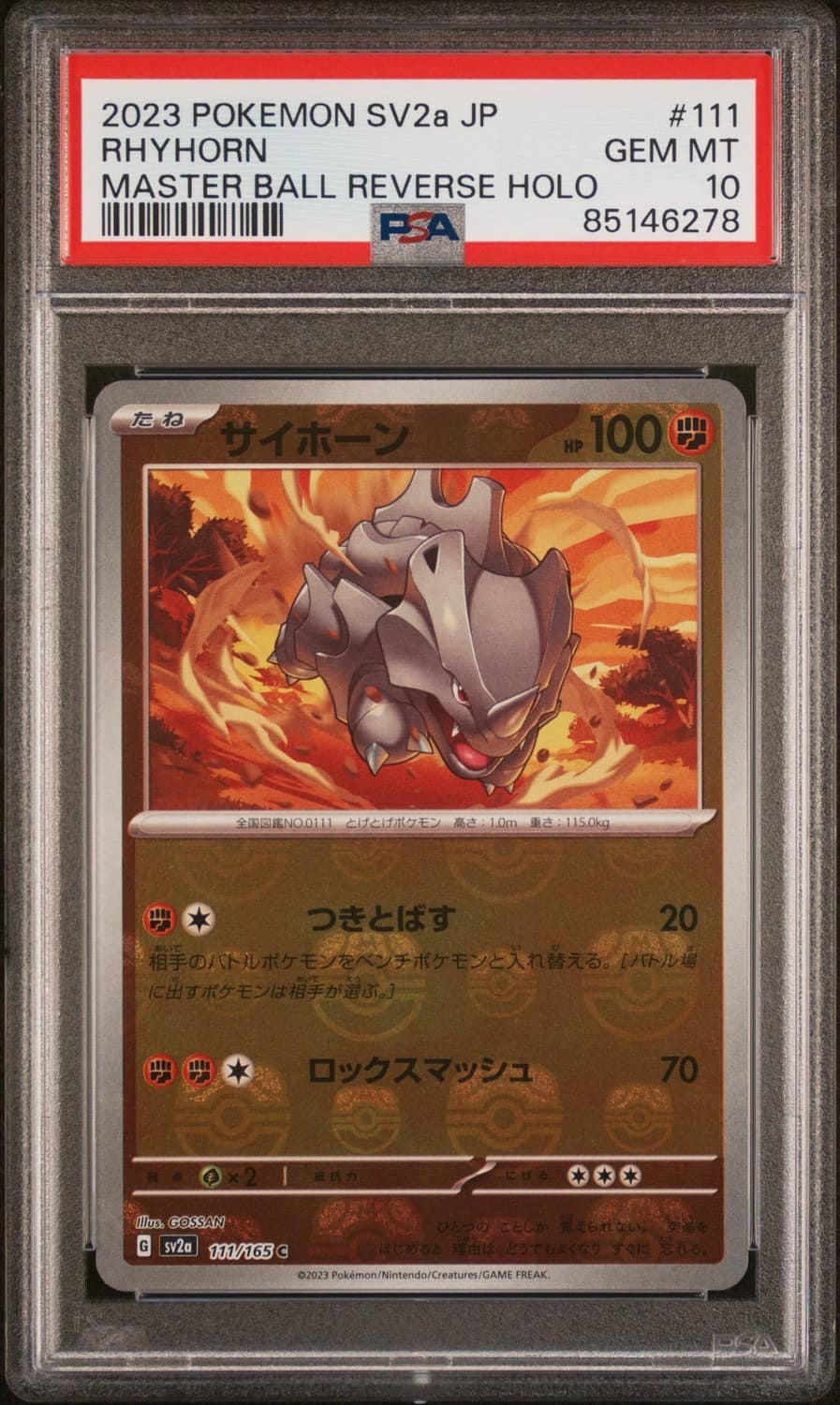 Rhyhorn