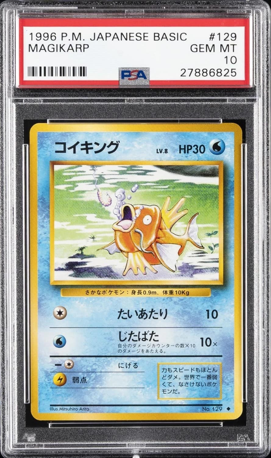 Magikarp