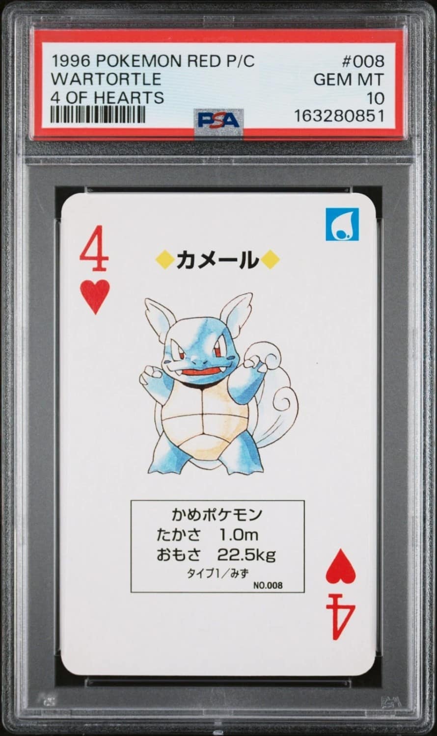 Wartortle