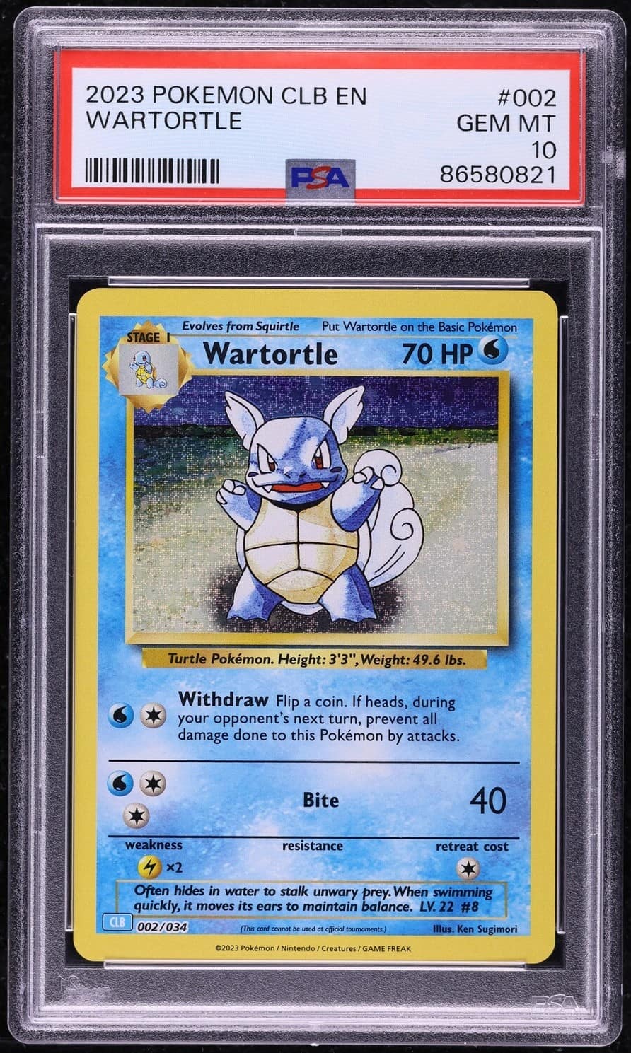 Wartortle