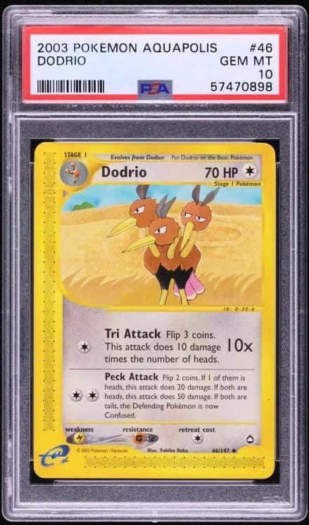 Dodrio
