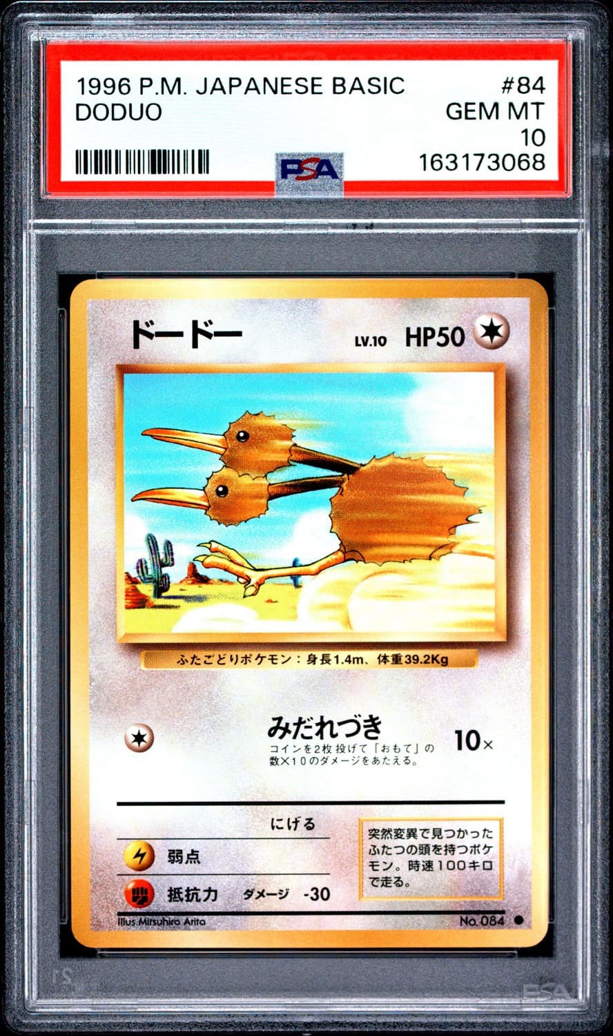 Doduo