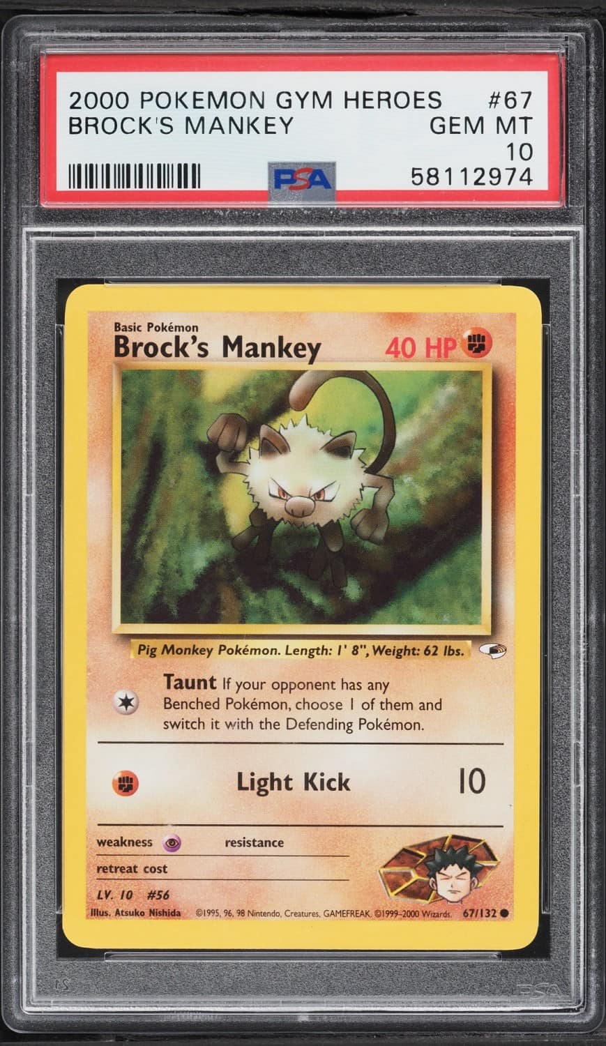 Brock'S Mankey