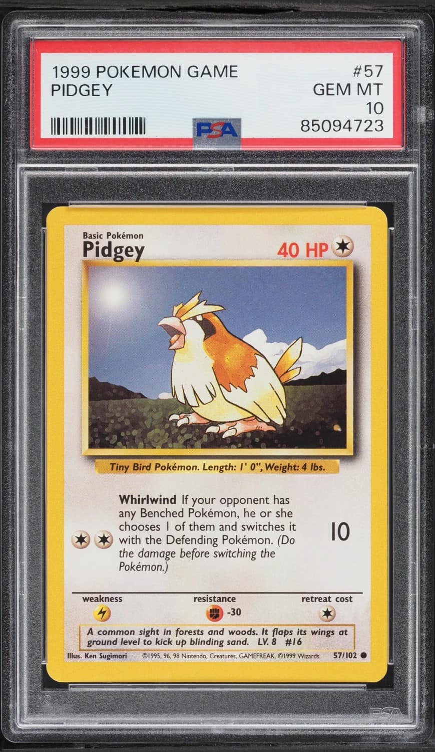 Pidgey