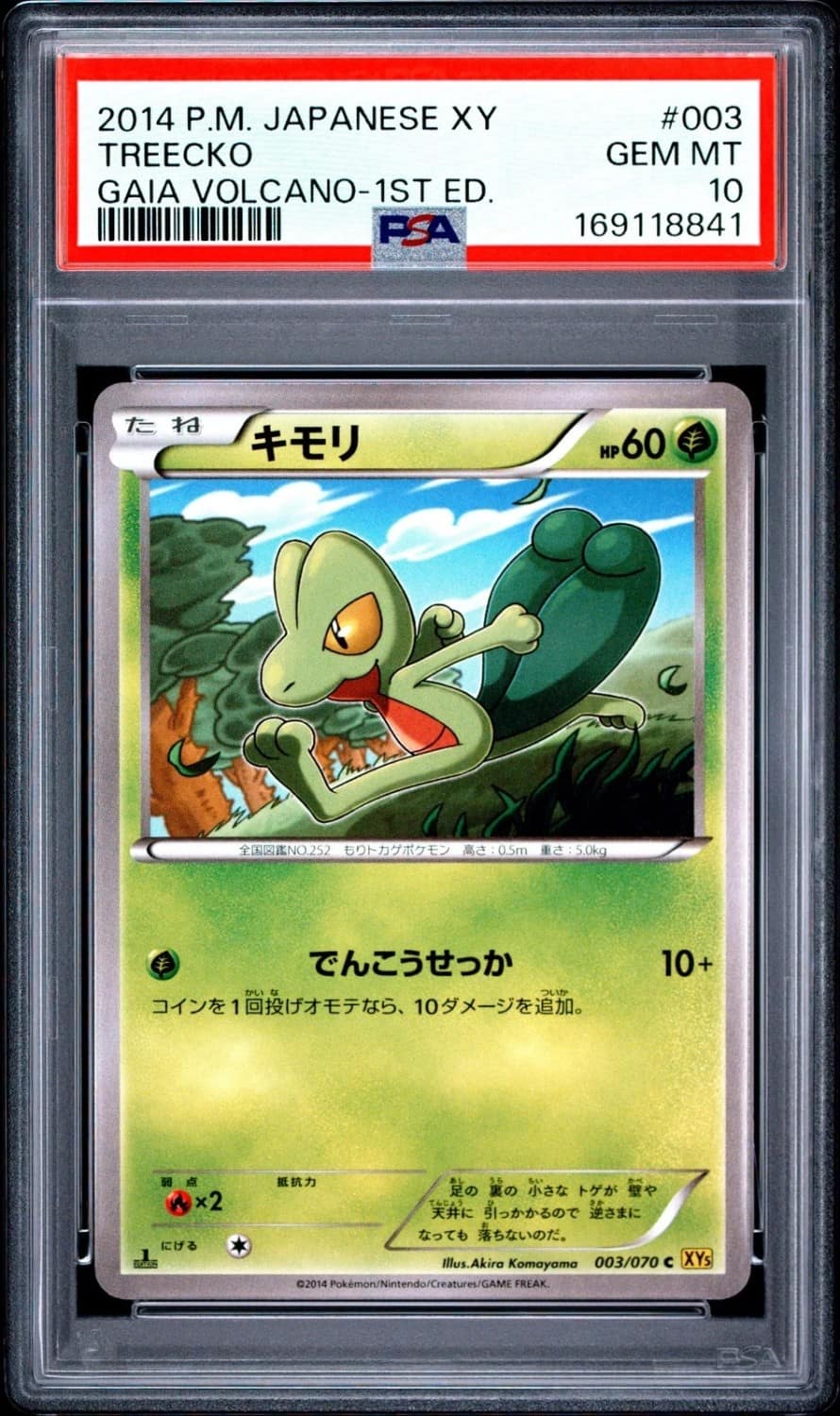 Treecko