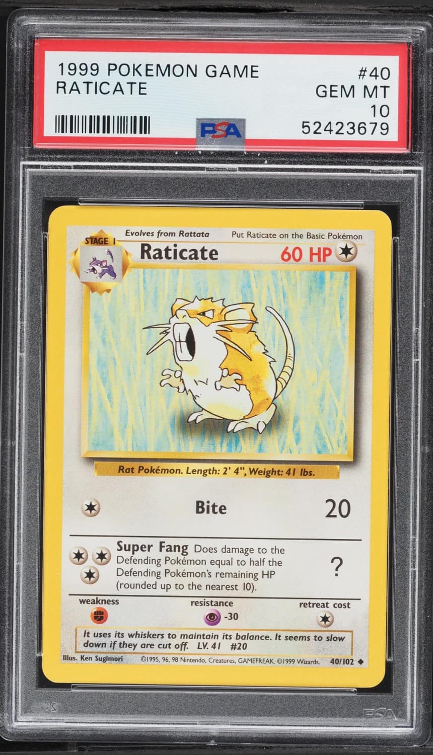 Raticate