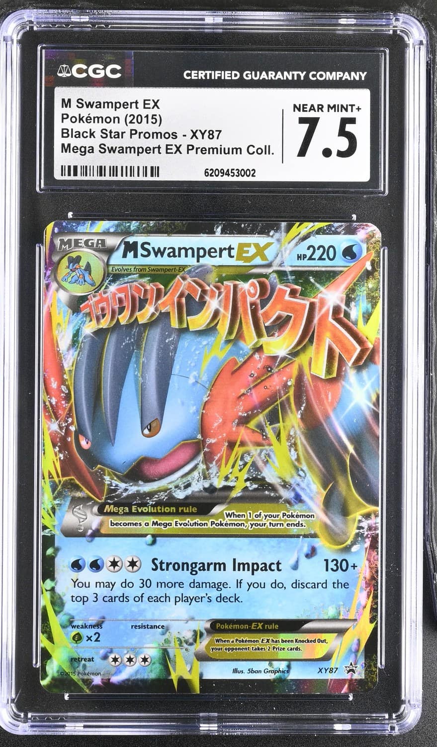 M Swampert Ex