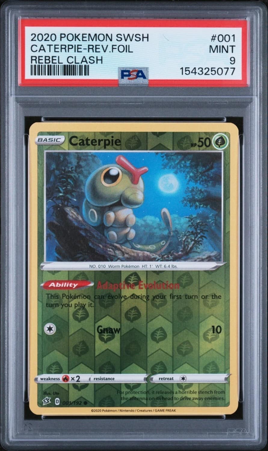 Caterpie