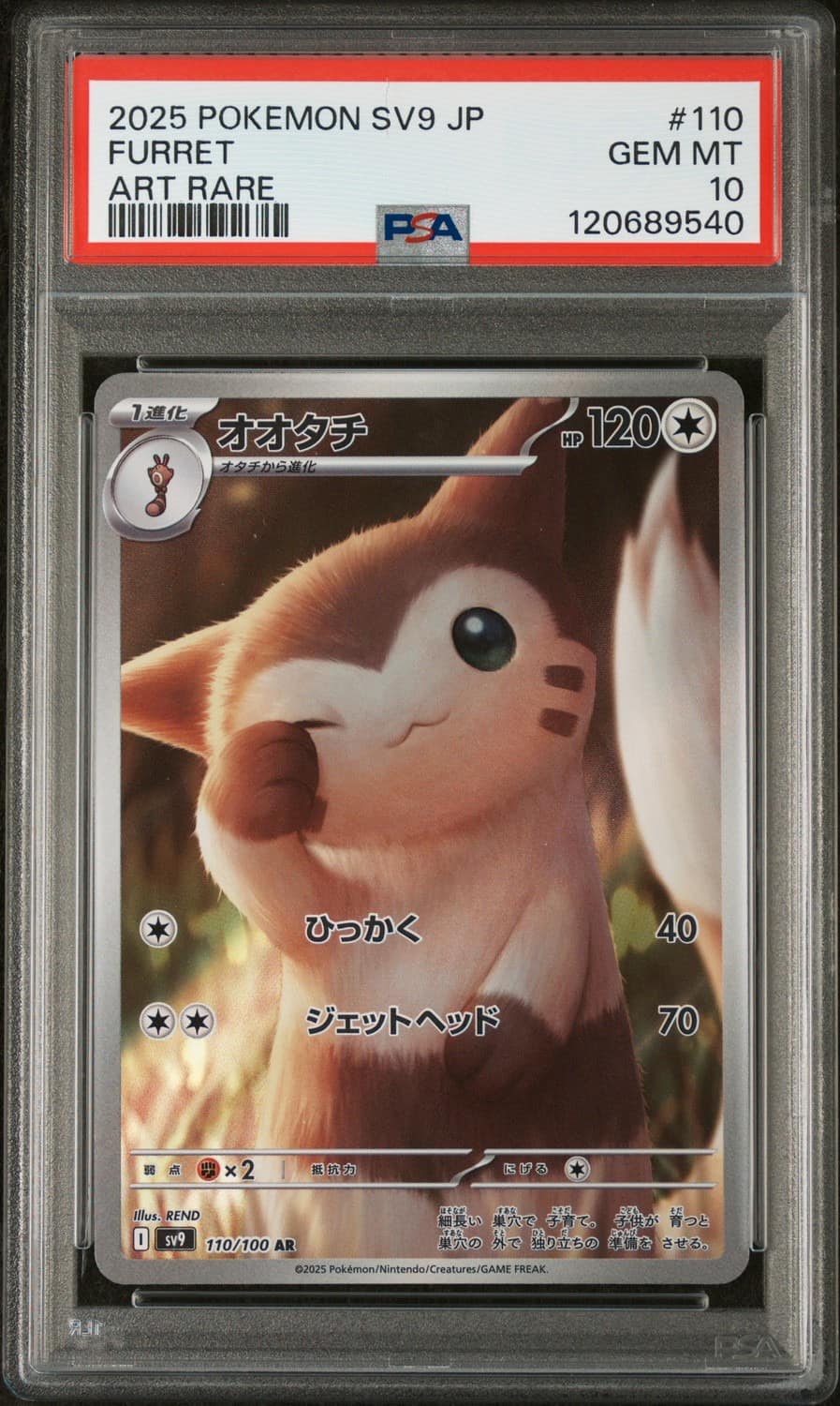 Furret