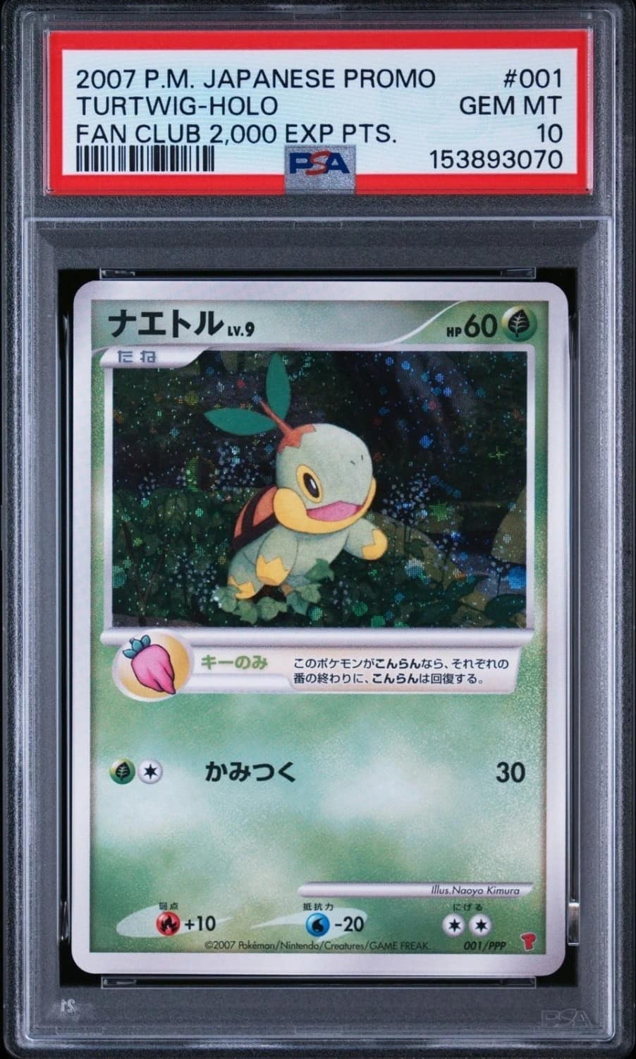 Turtwig